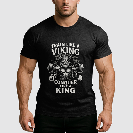 Viking Motivation T-Shirt- AA06954