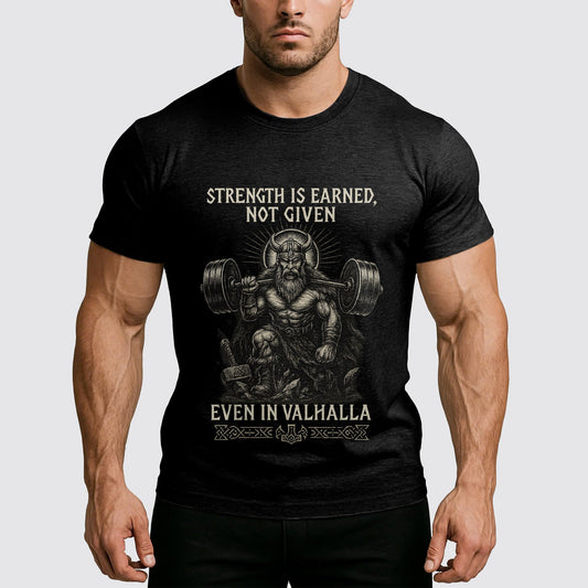 Viking Motivation T-Shirt- AA06975
